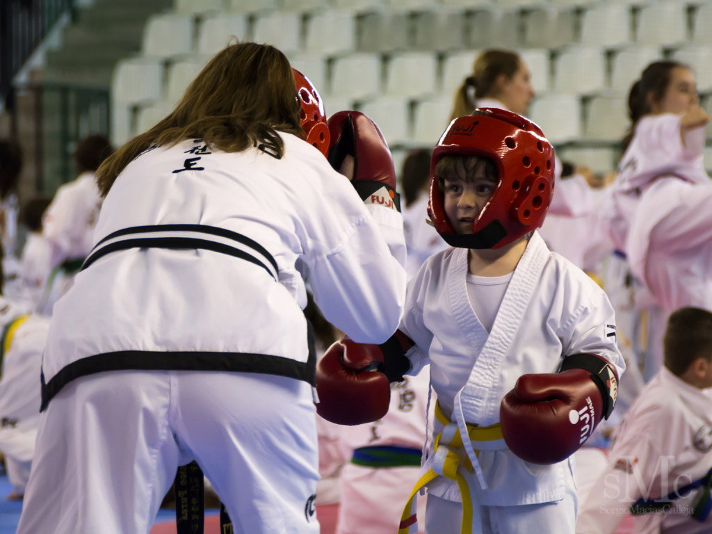 DIA DEL TAEKWONDO ABRIL 2017_3757.JPG